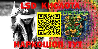 индика Гатчина