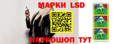 индика Гатчина