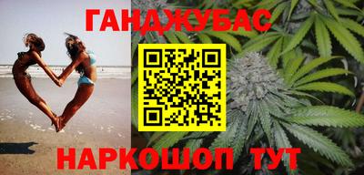 индика Гатчина