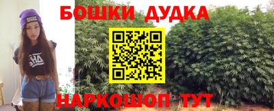 индика Гатчина