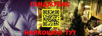 индика Гатчина