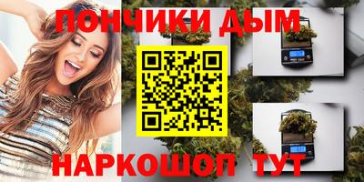 индика Гатчина