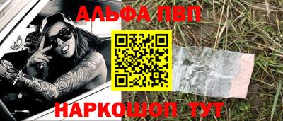 индика Гатчина