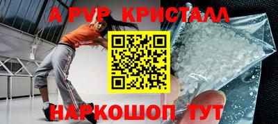 индика Гатчина