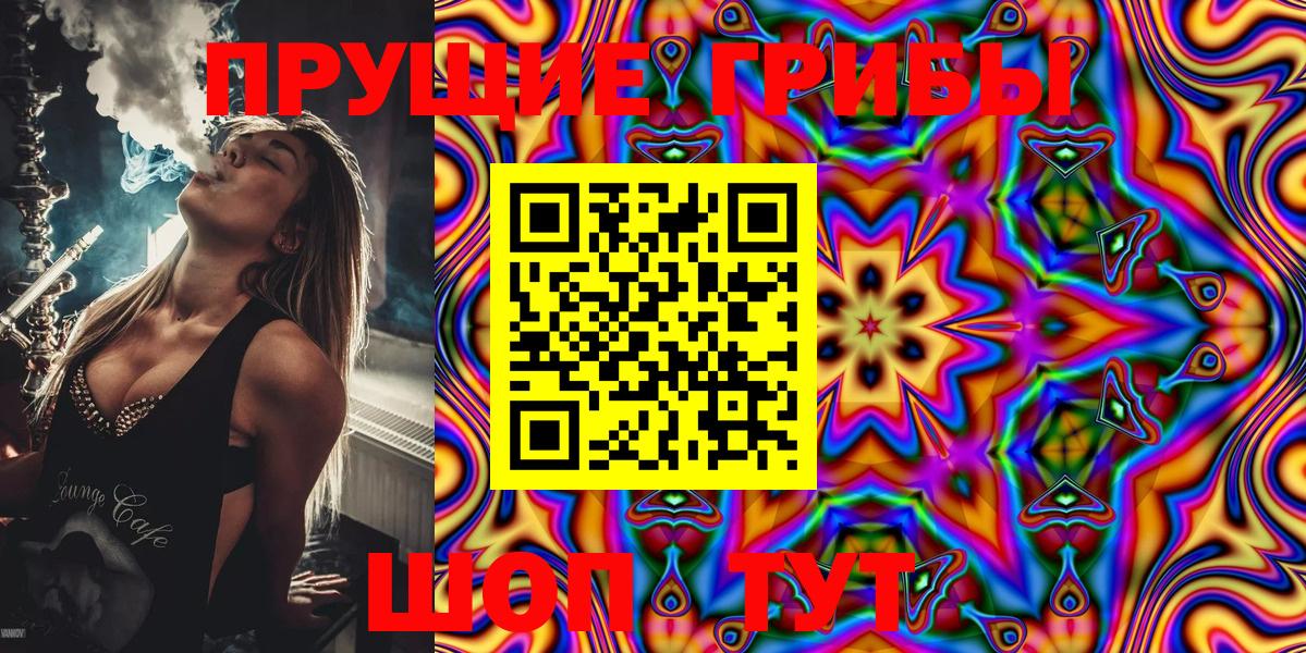 Псилоцибиновые грибы Psilocybe  Вход с VPN  Сердобск  Галлюциногенные грибы Psilocybe 
